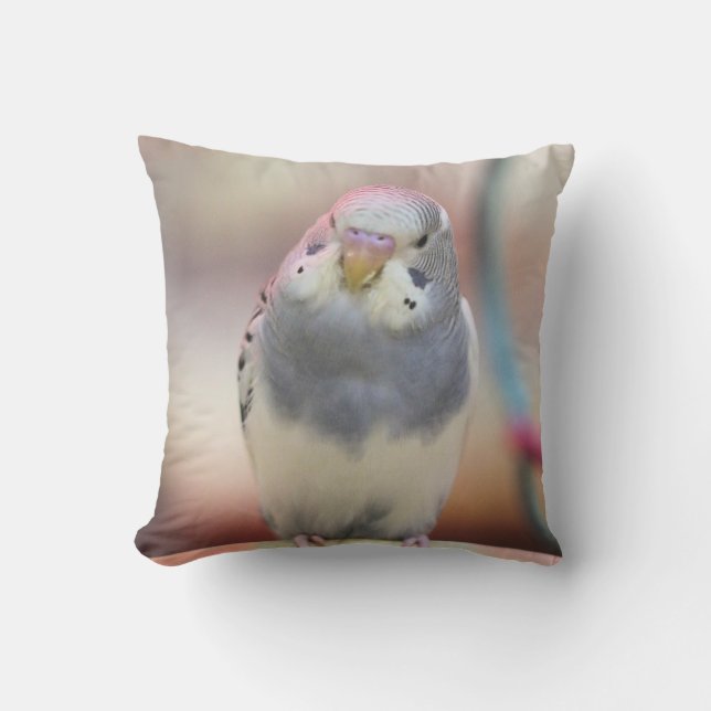 Blau Kissen (Vorderseite)