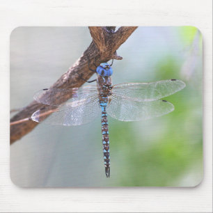 Blau - Mit Augen Darner Dragonfly Mousepad