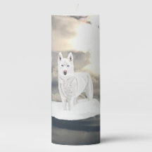 Blau, mit Augen, weißer Husky, im Schnee