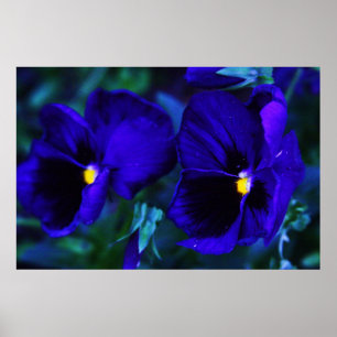 Blau Poster