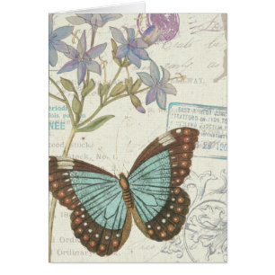 Blau und Brown-Schmetterling