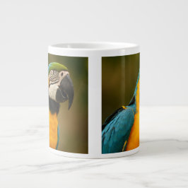 Blau und Goldmacaw Jumbo-Tasse