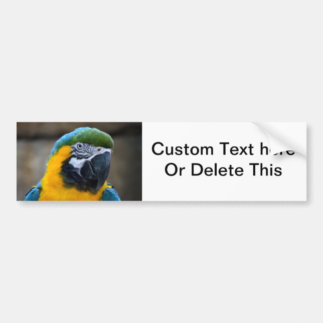 Blau und Goldmacaw plappern Hauptansicht c nach Autoaufkleber (Vorne)