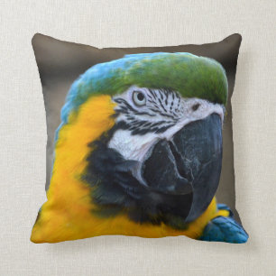 Blau und Goldmacaw plappern Hauptansicht c nach Kissen