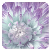 Blau und Lila Dahlia - Hochzeitlicher Umschlag Auf
