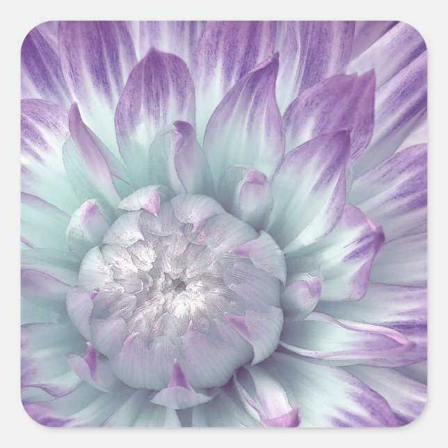 Blau und Lila Dahlia - Hochzeitlicher Umschlag Auf Quadratischer Aufkleber (Vorderseite)