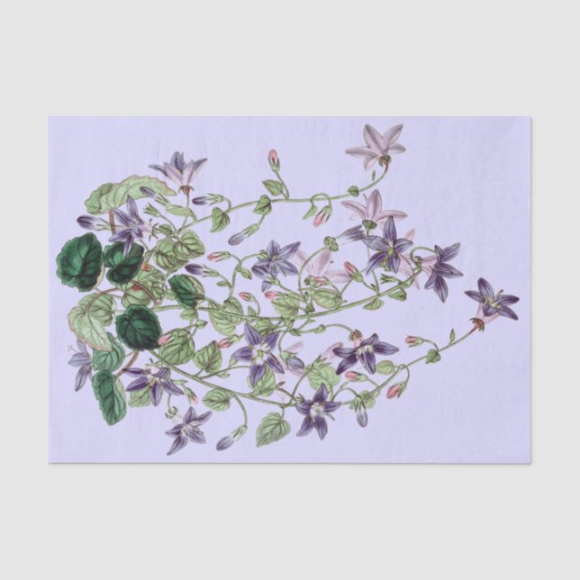 Blau-und violettesschleppendes Blumen-Seidenpapier Seidenpapier (Vorderseite)