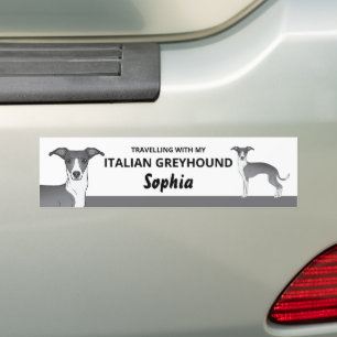 Blau und Weiß - Reisen mit meinem Iggy-Hund Autoaufkleber