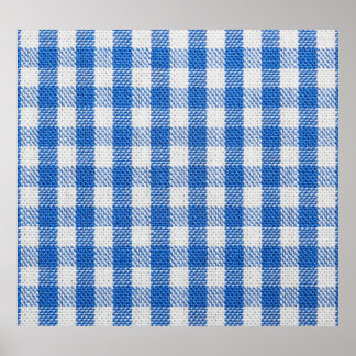 Blau-weiße ausgekleidete Esskleider. Poster