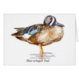 Blau-winged aquamarines