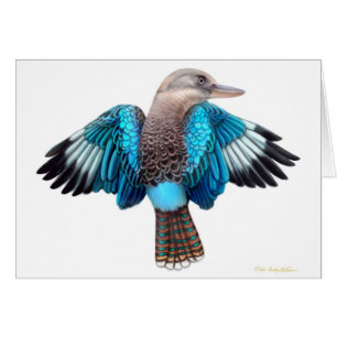 Blau Winged Kookaburra Karte