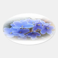 Blauafrikanische Violetten