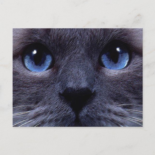 Blauäge Postkarte (Vorderseite)