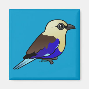 Blaubauchroller Magnet