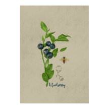 Blaubeer Botanical mit Biene und Blume