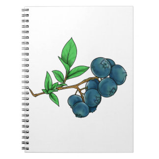 Blaubeer-Zeichnung Notizblock