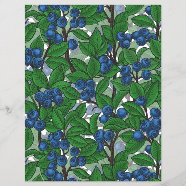 Blaubeere auf weiß (Vorderseite)