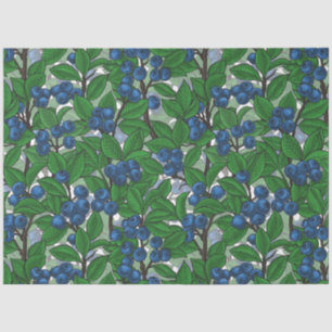 Blaubeere auf weiß seidenpapier