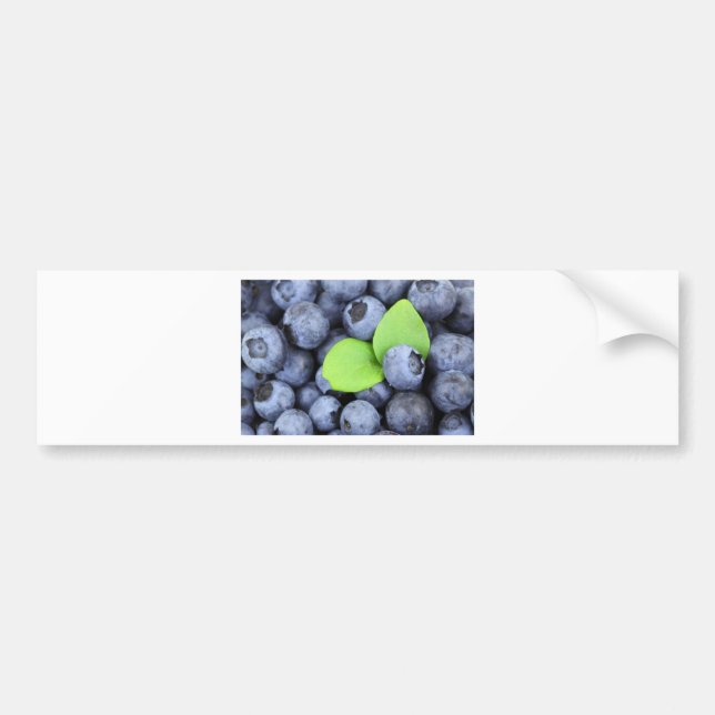 BLAUBEERE AUTOAUFKLEBER (Vorne)