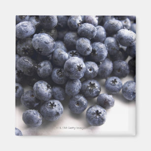 Blaubeeren 2 magnet