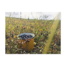 Blaubeeren auf der Alaska-Tundra