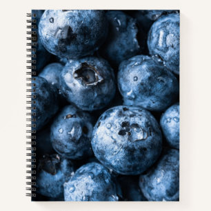 Blaubeeren Früchte Notizbuch