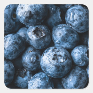 Blaubeeren Früchte Quadratischer Aufkleber