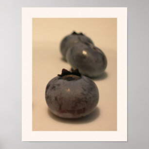 Blaubeeren I haben 3 gekannt Poster