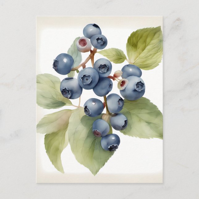 Blaubeeren in Aquarellfarbe Postkarte (Vorderseite)