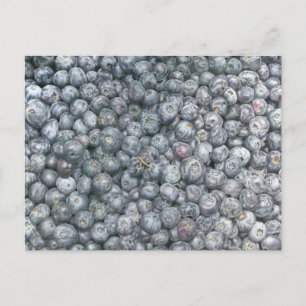 Blaubeeren Kunst Postkarte