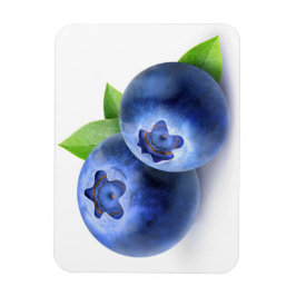 Blaubeeren Magnet