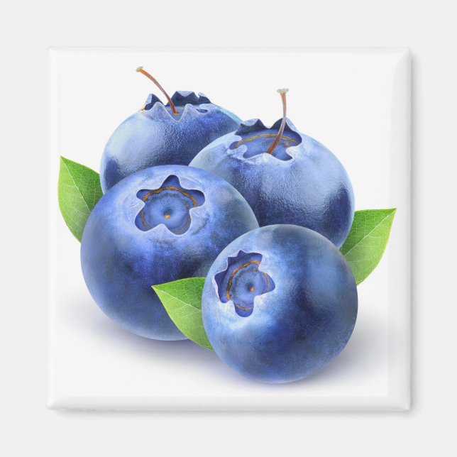 Blaubeeren Magnet (Vorne)