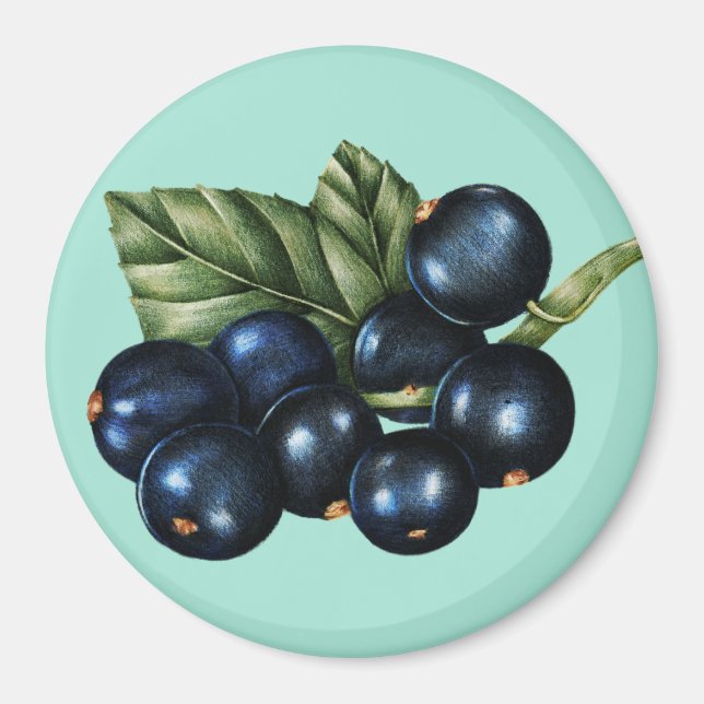 Blaubeeren Magnet (Vorne)