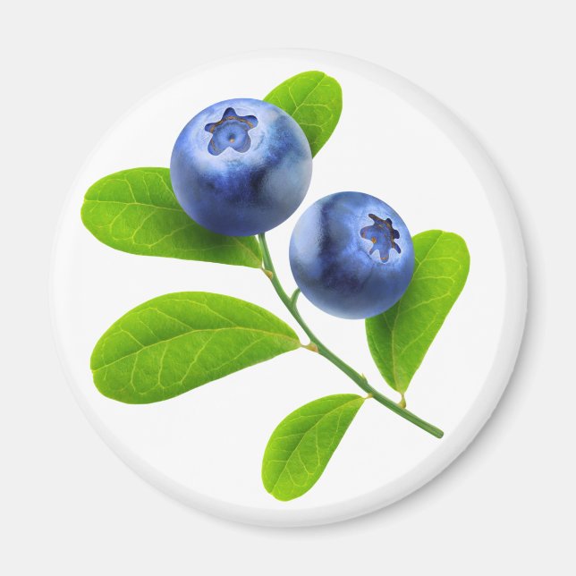 Blaubeeren Magnet (Vorne)