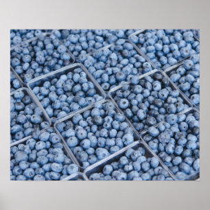 Blaubeeren Poster