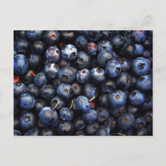 Blaubeeren Postkarte