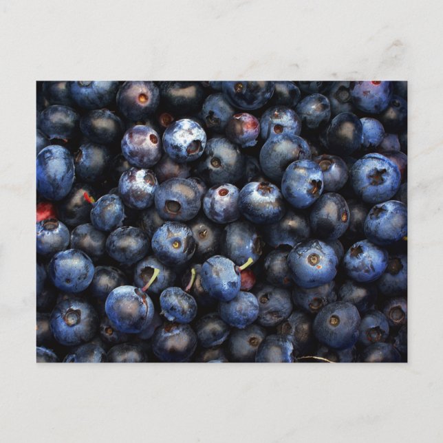 Blaubeeren Postkarte (Vorderseite)