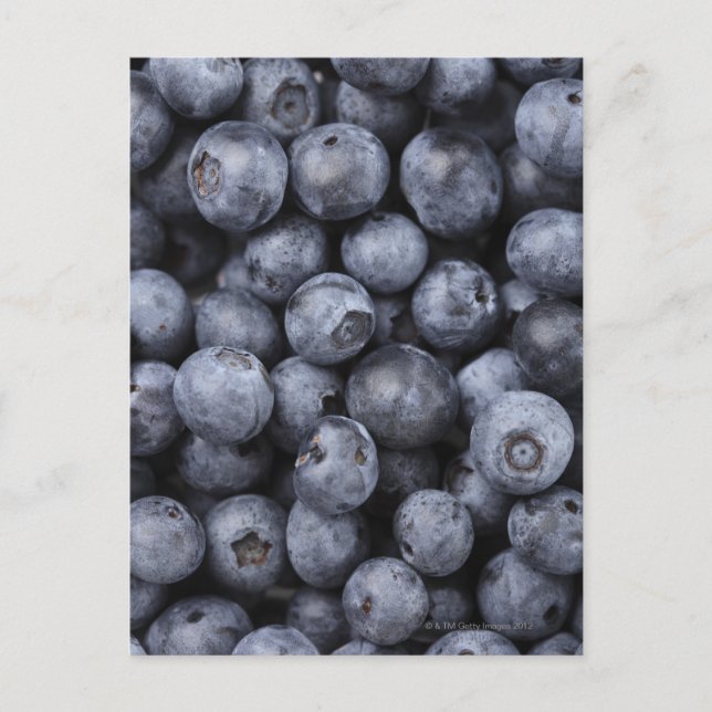 Blaubeeren Postkarte (Vorderseite)