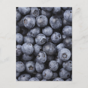 Blaubeeren Postkarte