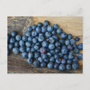 Blaubeeren Postkarte