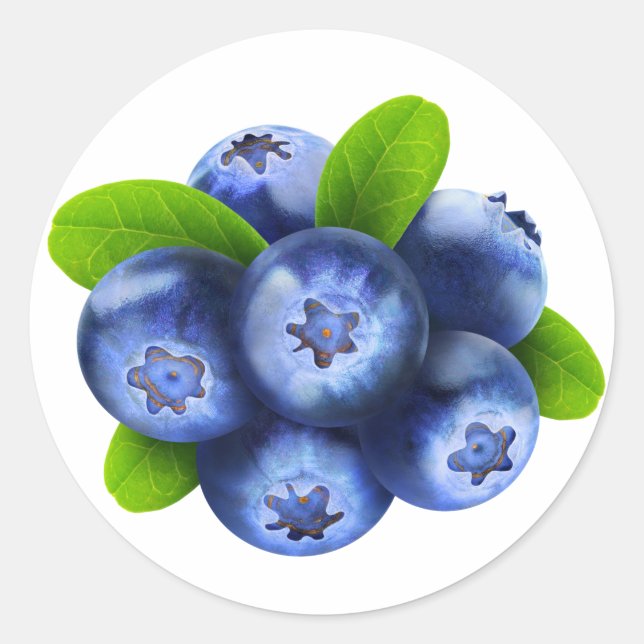 Blaubeeren Runder Aufkleber (Vorderseite)