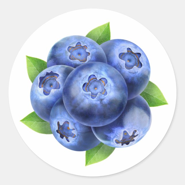 Blaubeeren-Rundzusammensetzung Runder Aufkleber (Vorderseite)