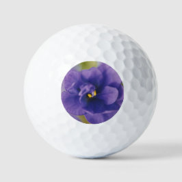 Blaublühende Blume von Violet Saintpaulia Zoomed Golfball