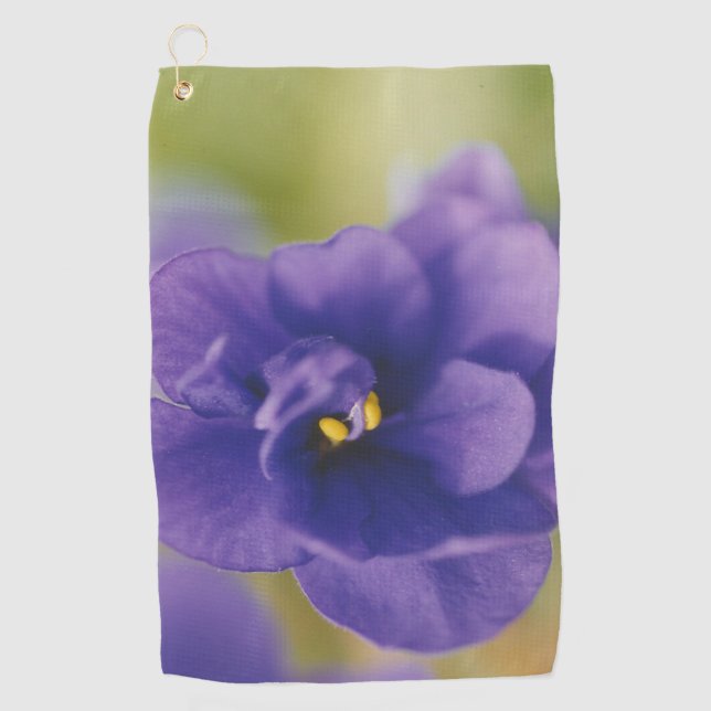 Blaublühende Blume von Violet Saintpaulia Zoomed Golfhandtuch (Vorderseite)