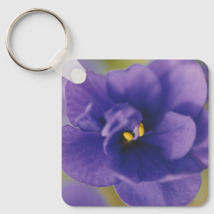 Blaublühende Blume von Violet Saintpaulia Zoomed Schlüsselanhänger