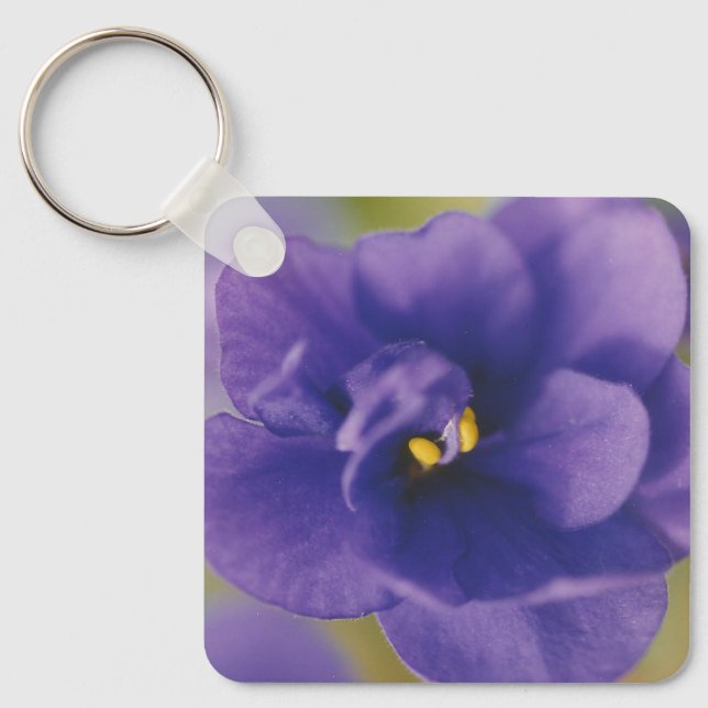 Blaublühende Blume von Violet Saintpaulia Zoomed Schlüsselanhänger (Vorderseite)