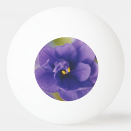 Blaublühende Blume von Violet Saintpaulia Zoomed Tischtennisball