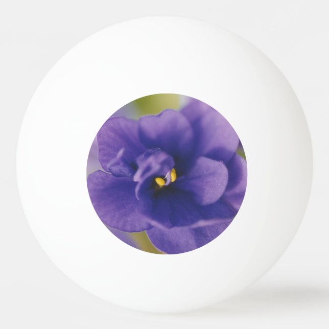 Blaublühende Blume von Violet Saintpaulia Zoomed Tischtennisball (Vorderseite)