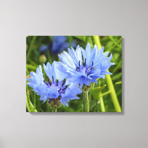 Blaublume Leinwanddruck