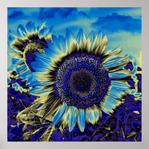 Blaublume Poster